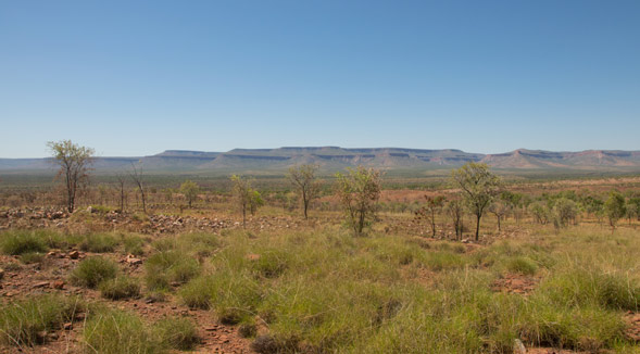 Blick auf die Cockburn Range von der Gibb River Road