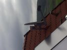 20120915_090126.jpg 20120915_090126.jpg
