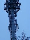 20121127_161941.jpg 20121127_161941.jpg