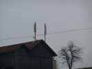 k-P1020408.JPG